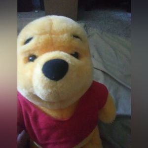 Winnie the Pooh plush